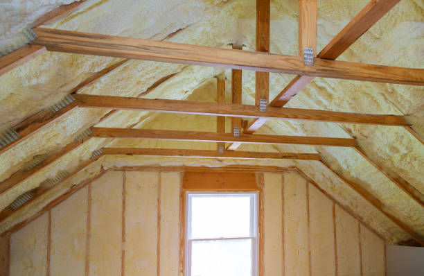 Best Cellulose Insulation in Bonnie Brae, IL