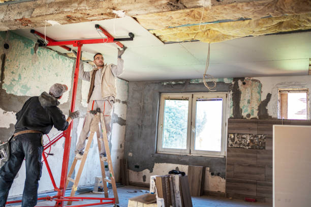 Best Eco-Friendly Insulation in Bonnie Brae, IL