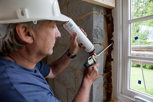 Best Specialized Insulation Services in Bonnie Brae, IL