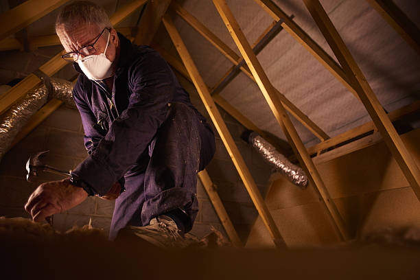 Best Spray Foam Insulation in Bonnie Brae, IL