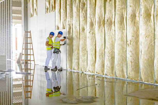 Professional Insulation Contractor in Bonnie Brae, IL